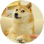 The Doge NFT